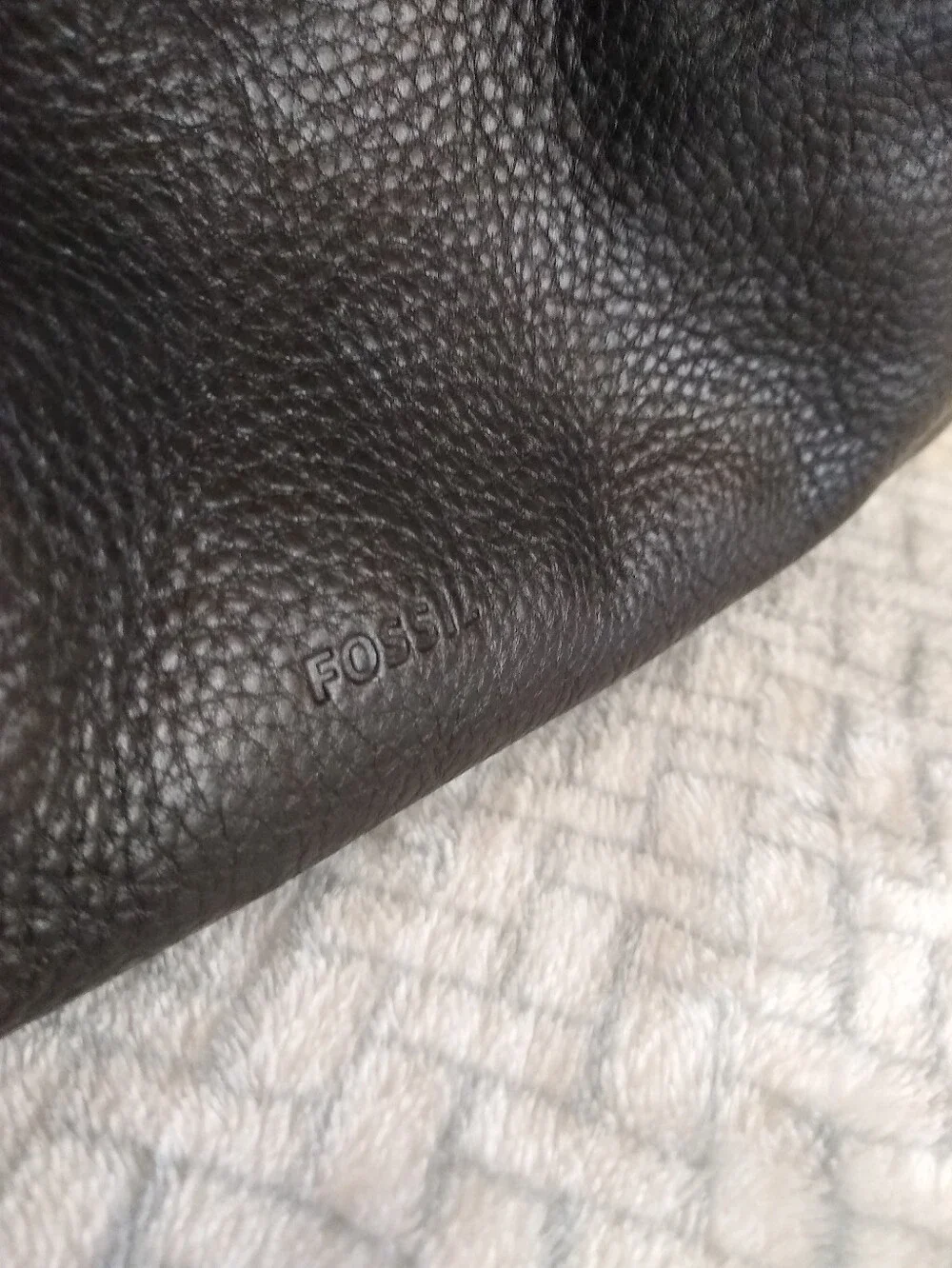 Fossil beautiful like